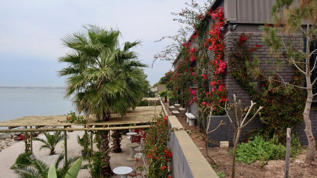 Saldanha Oyster Bar film location, Saldanha Bay | NVD Property