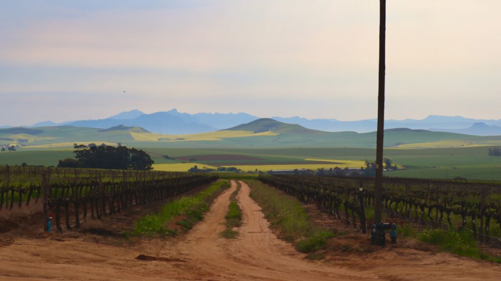 Jakkalsfontein Farm