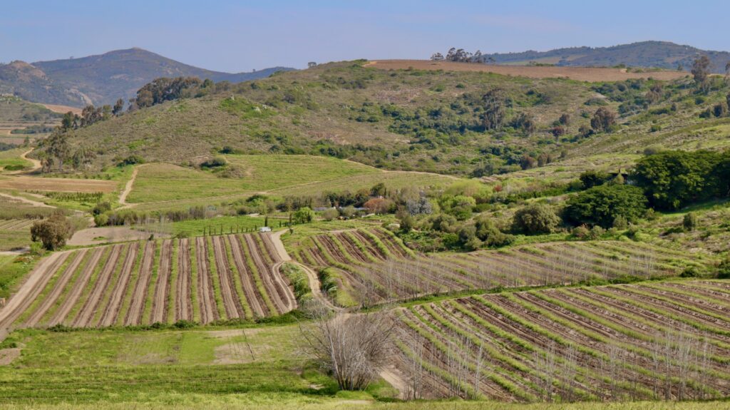 Kalmoesfontein film location, Malmesbury | NVD Property