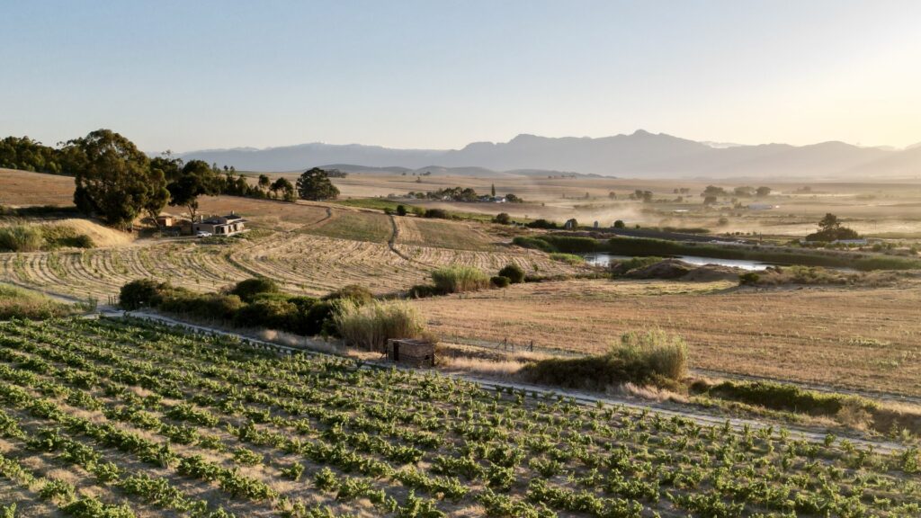 Kalmoesfontein Koringhuis