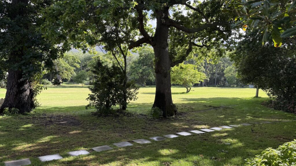 Shady Oaks 41