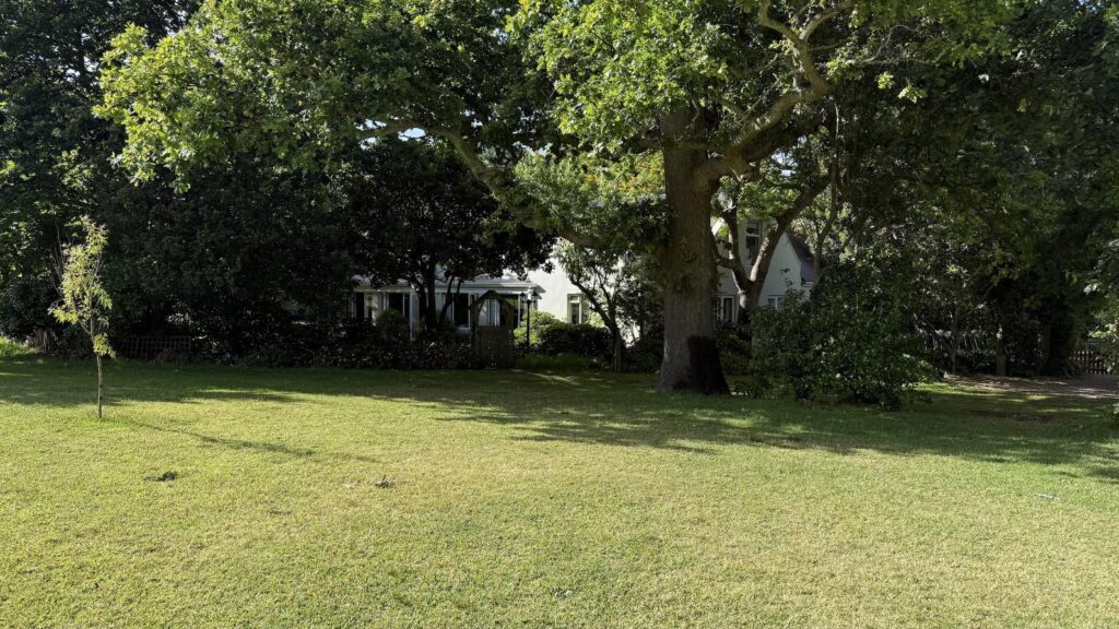 Shady Oaks 42