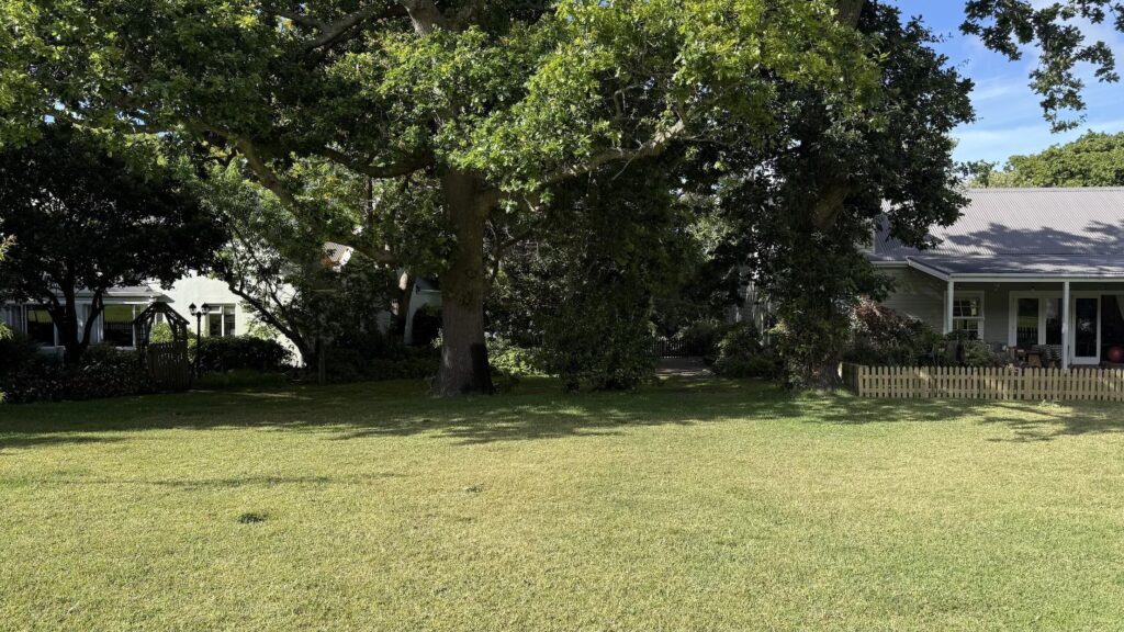 Shady Oaks 30