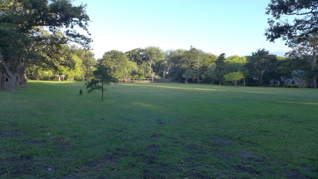 Shady Oaks 8