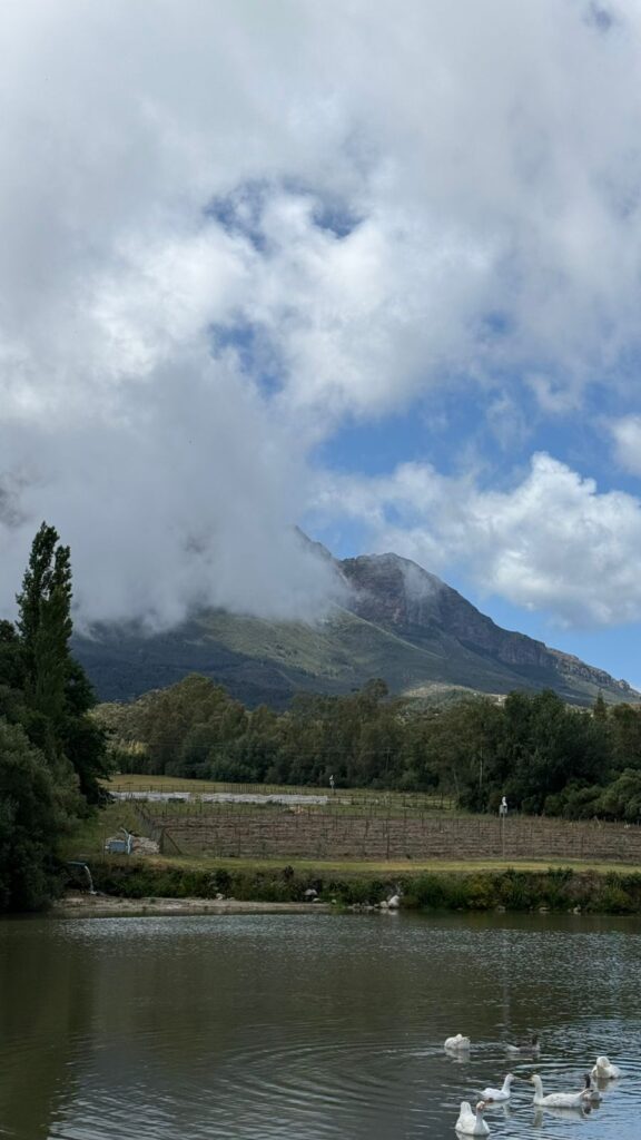 Canetsfontein film location, Wellington | NVD Property