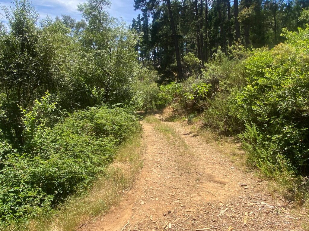 Canetsfontein film location, Wellington | NVD Property