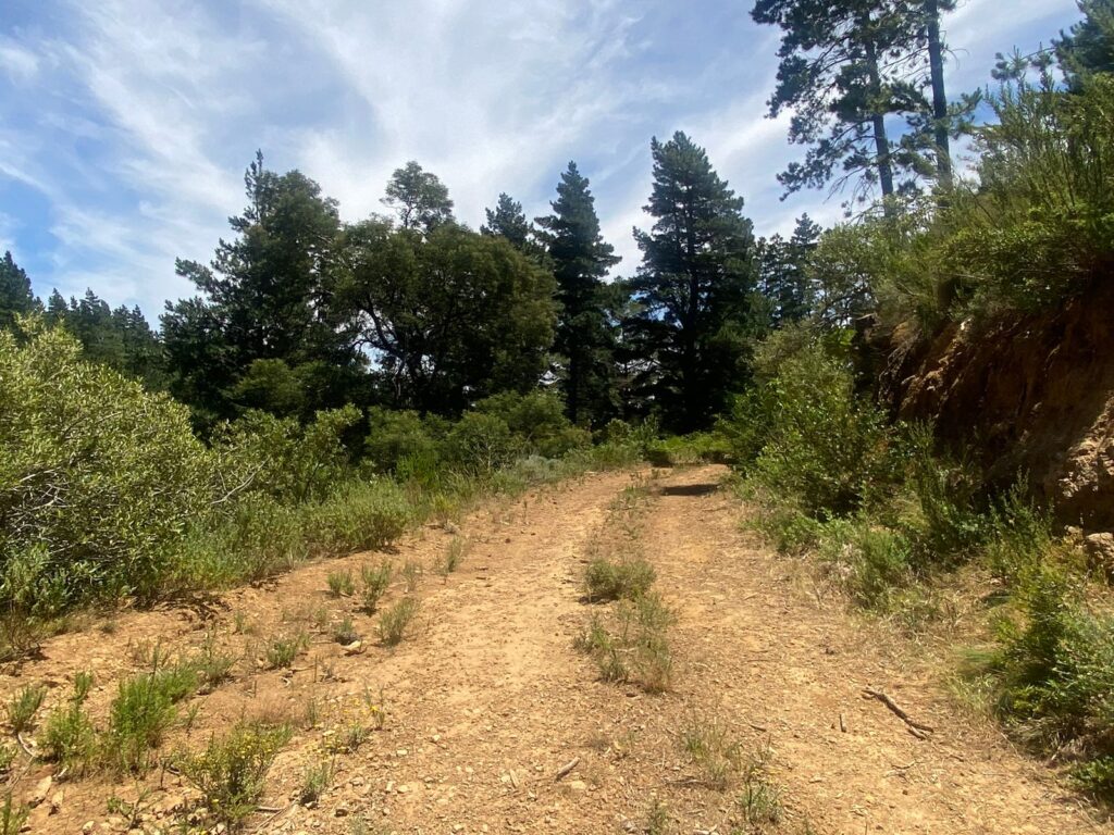 Canetsfontein film location, Wellington | NVD Property