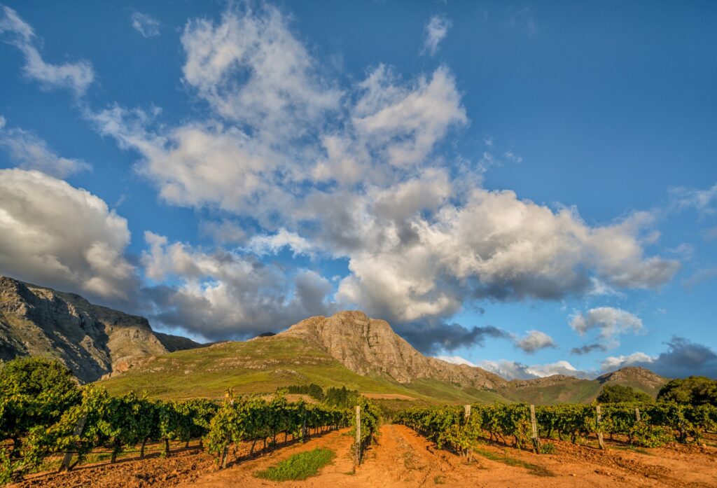 Waterford Estate film location, Stellenbosch | NVD Property